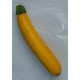 Courgette       (AB)              /Kq