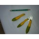 Mini Courgette   Bicolor   (AB)