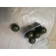 Mini  Tomate  Noire