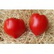 Tomate  Coeur de Boeuf