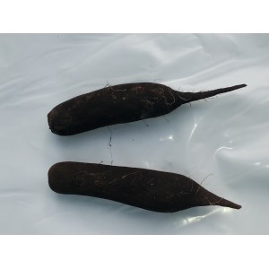 Navet  Noir  (AB)    / botte