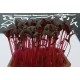 Micro Amaranthe Rouge