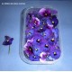 Fleurs de Violette des Prés