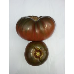 Tomate  Noire  de  Russie