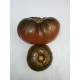 Tomate  Noire  de  Russie