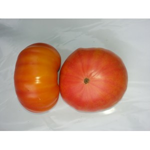 Tomate  Ananas