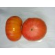 Tomate  Ananas