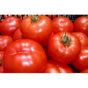 Tomates   &agrave; Concasser