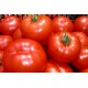 Tomates   à Concasser