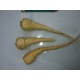 Mini  Panais     (AB)                               / Botte