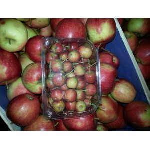 Mini  Pomme Cerise   (AB)                   /Bq