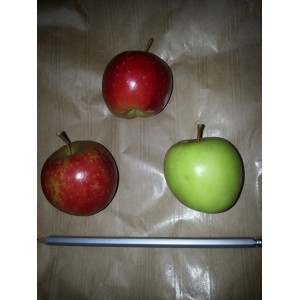 Mini  Pomme  (AB)                      /pce